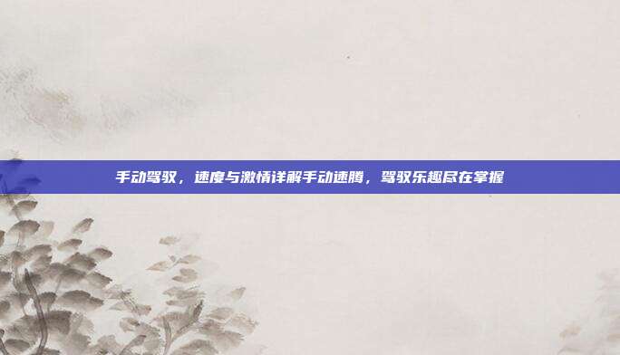 手动驾驭，速度与激情详解手动速腾，驾驭乐趣尽在掌握