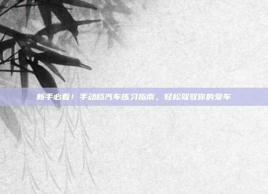 新手必看！手动档汽车练习指南，轻松驾驭你的爱车