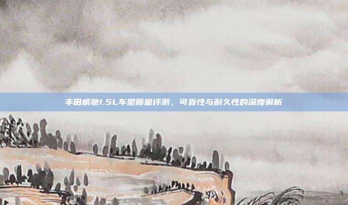 丰田威驰1.5L车型质量评测，可靠性与耐久性的深度解析