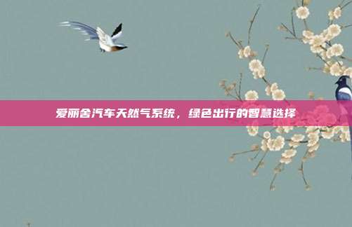 爱丽舍汽车天然气系统，绿色出行的智慧选择
