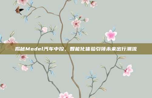 揭秘Model汽车中控，智能化体验引领未来出行潮流