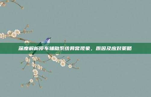 深度解析停车辅助系统异常现象，原因及应对策略