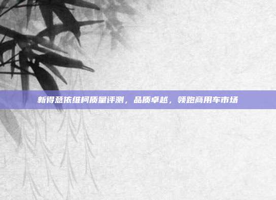 新得意依维柯质量评测，品质卓越，领跑商用车市场