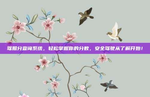 驾照分查询系统，轻松掌握你的分数，安全驾驶从了解开始！