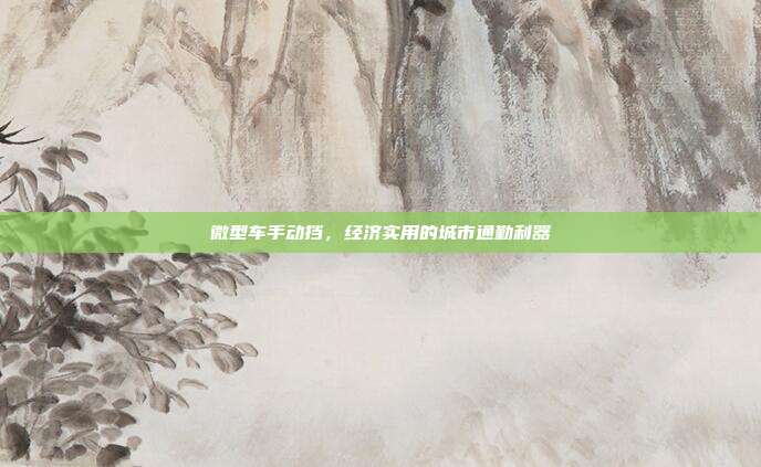 微型车手动挡，经济实用的城市通勤利器