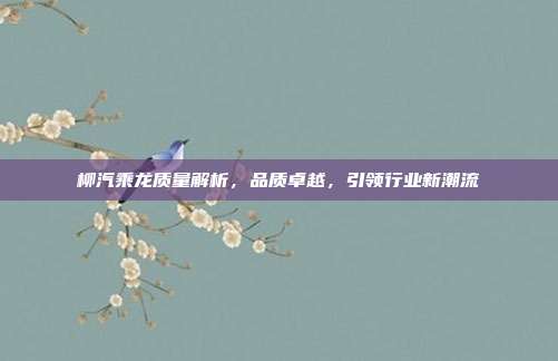 柳汽乘龙质量解析，品质卓越，引领行业新潮流