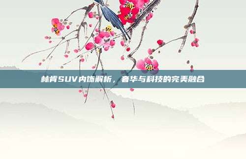 林肯SUV内饰解析，奢华与科技的完美融合