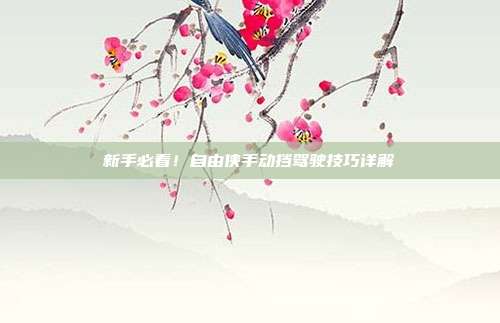 新手必看！自由侠手动挡驾驶技巧详解