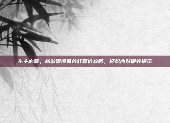 车主必看，新款雷凌保养灯复位攻略，轻松应对保养提示