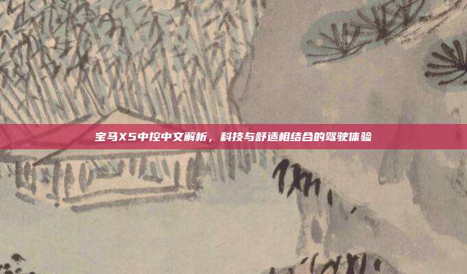 宝马X5中控中文解析，科技与舒适相结合的驾驶体验