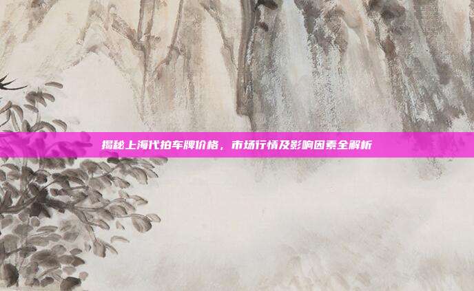 揭秘上海代拍车牌价格，市场行情及影响因素全解析