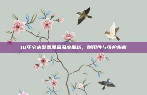 10年宝来整备质量深度解析，耐用性与维护指南