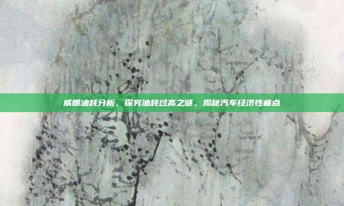 威朗油耗分析，探究油耗过高之谜，揭秘汽车经济性痛点