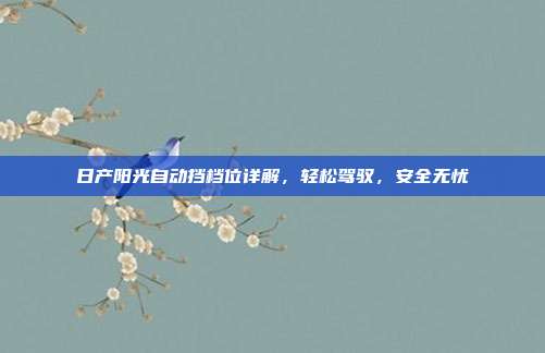日产阳光自动挡档位详解，轻松驾驭，安全无忧