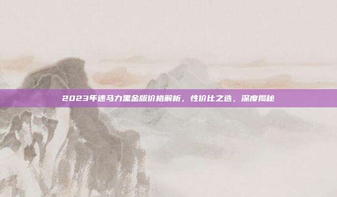 2023年速马力黑金版价格解析，性价比之选，深度揭秘