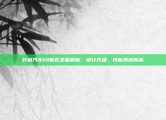 长城汽车H1新款全面解析，设计升级，性能再创新高