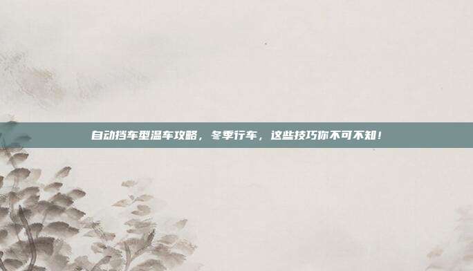自动挡车型温车攻略，冬季行车，这些技巧你不可不知！
