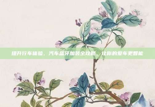 提升行车体验，汽车蓝牙加装全攻略，让你的爱车更智能