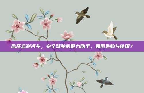 胎压监测汽车，安全驾驶的得力助手，如何选购与使用？