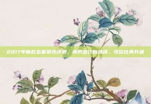 2017年新款五菱荣光评测，商务出行新选择，性价比再升级