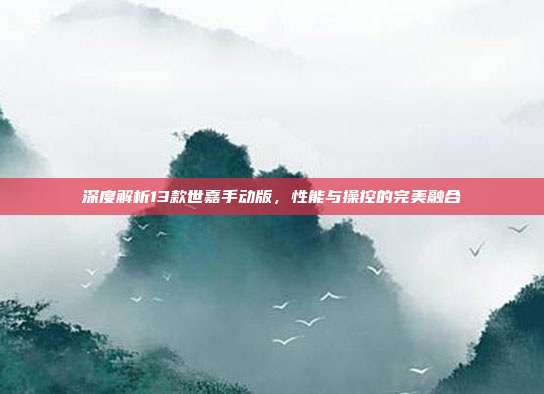 深度解析13款世嘉手动版，性能与操控的完美融合