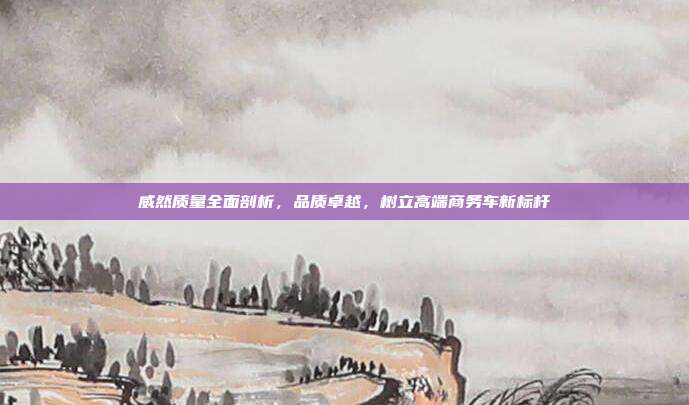 威然质量全面剖析，品质卓越，树立高端商务车新标杆