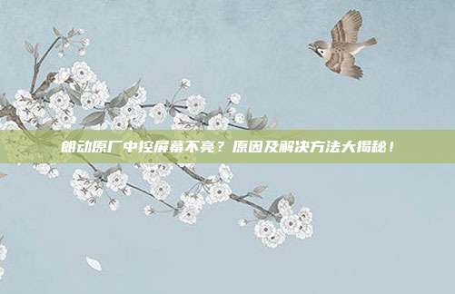 朗动原厂中控屏幕不亮？原因及解决方法大揭秘！