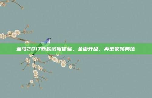 蓝鸟2017新款试驾体验，全面升级，再塑家轿典范