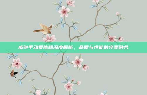 威驰手动爱信版深度解析，品质与性能的完美融合