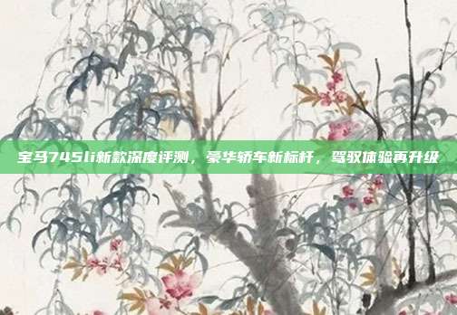 宝马745li新款深度评测，豪华轿车新标杆，驾驭体验再升级