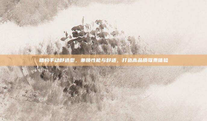 猎豹手动舒适型，兼顾性能与舒适，打造高品质驾乘体验