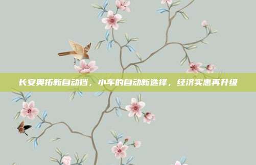 长安奥拓新自动挡，小车的自动新选择，经济实惠再升级