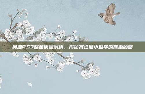 奥迪RS3整备质量解析，揭秘高性能小型车的体重秘密