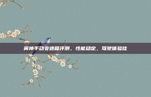 翼神手动变速箱评测，性能稳定，驾驶体验佳