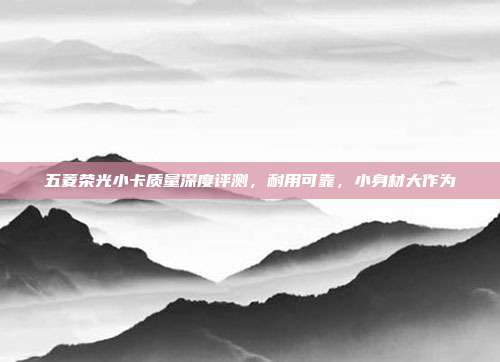 五菱荣光小卡质量深度评测，耐用可靠，小身材大作为
