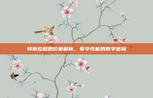 特斯拉超跑价格解析，豪华性能的数字密码