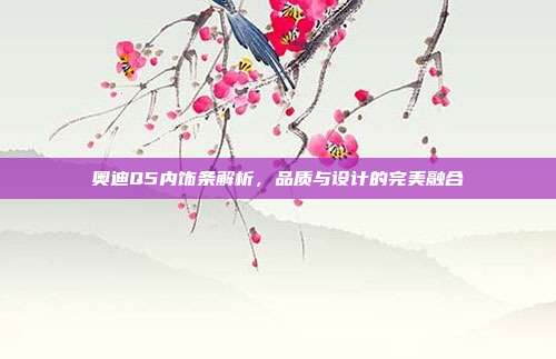 奥迪Q5内饰条解析，品质与设计的完美融合