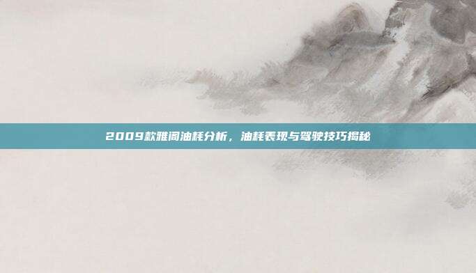 2009款雅阁油耗分析，油耗表现与驾驶技巧揭秘