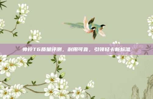 帅铃T6质量评测，耐用可靠，引领轻卡新标准