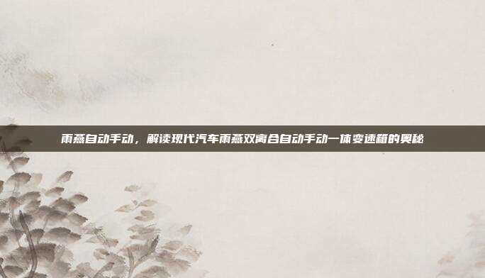 雨燕自动手动，解读现代汽车雨燕双离合自动手动一体变速箱的奥秘