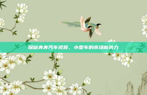 探秘奔奔汽车视频，小型车的市场新势力