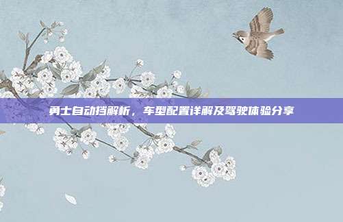 勇士自动挡解析，车型配置详解及驾驶体验分享