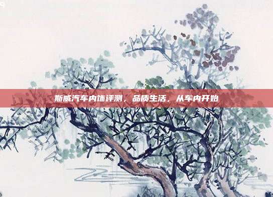 斯威汽车内饰评测，品质生活，从车内开始