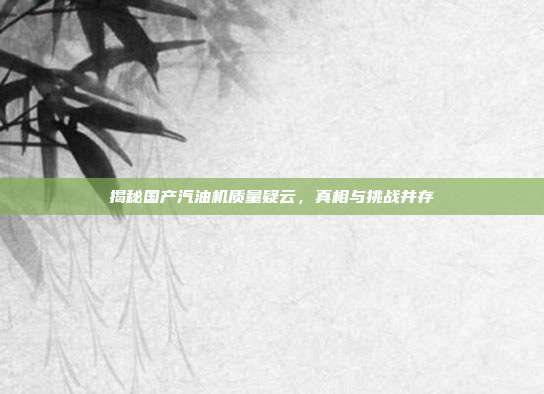 揭秘国产汽油机质量疑云，真相与挑战并存