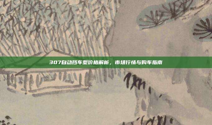 307自动挡车型价格解析，市场行情与购车指南