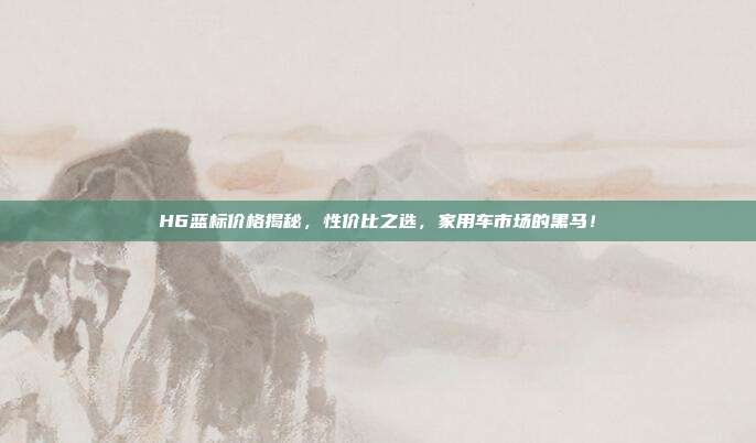 H6蓝标价格揭秘，性价比之选，家用车市场的黑马！