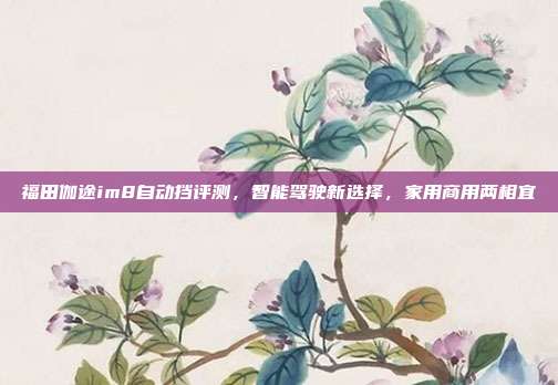 福田伽途im8自动挡评测，智能驾驶新选择，家用商用两相宜