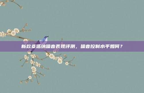 新款桑塔纳噪音表现评测，噪音控制水平如何？