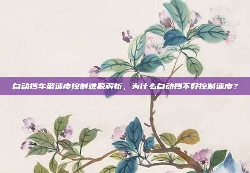 自动挡车型速度控制难题解析，为什么自动挡不好控制速度？