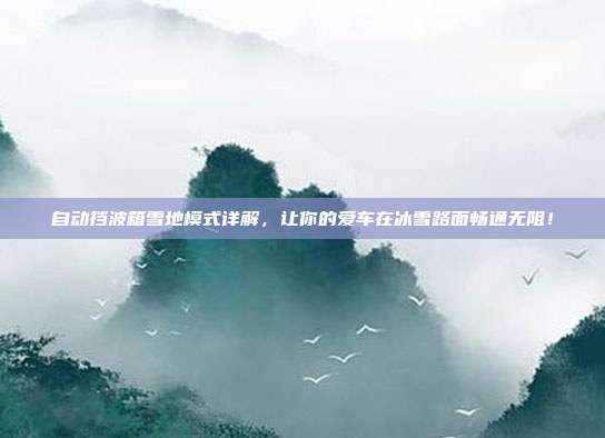 自动挡波箱雪地模式详解，让你的爱车在冰雪路面畅通无阻！